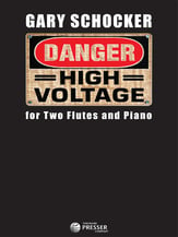 Danger High Voltage Flute Duet and Piano cover